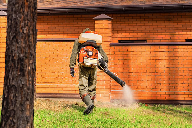 Trusted Termite Control service in Viera West, FL - Nex Pest Control